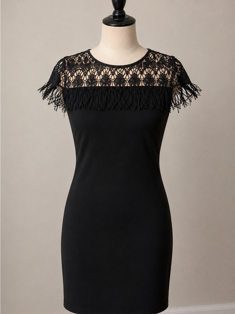 Taylor Black Lace Fringe Dress